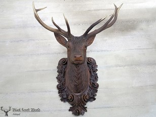  Awesome Black forest stag head 
