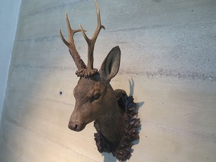  black forest carved roe head 
