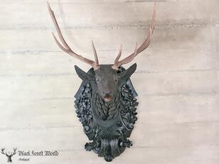 Black forest Deer head Stag carved