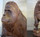 A Unique carved wood Orangutan XXL
