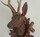 black forest carved deer roe head